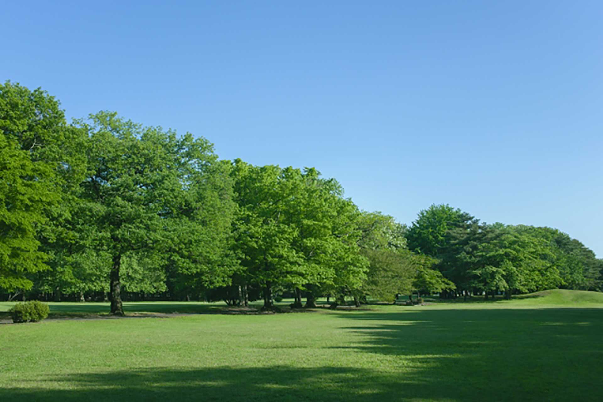 公園遊び28選