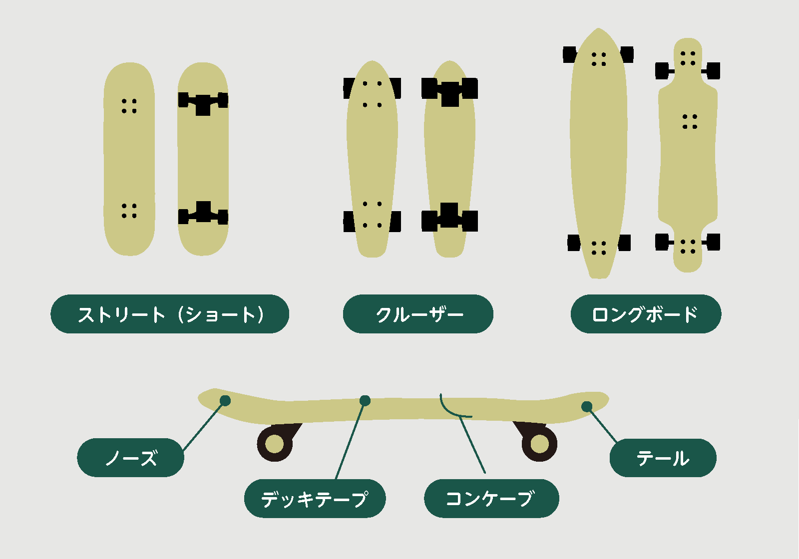 カンタン図解 スケートボードの基礎知識 Green Summit グリーンサミット 外遊び がコンセプトのセレクトショップ